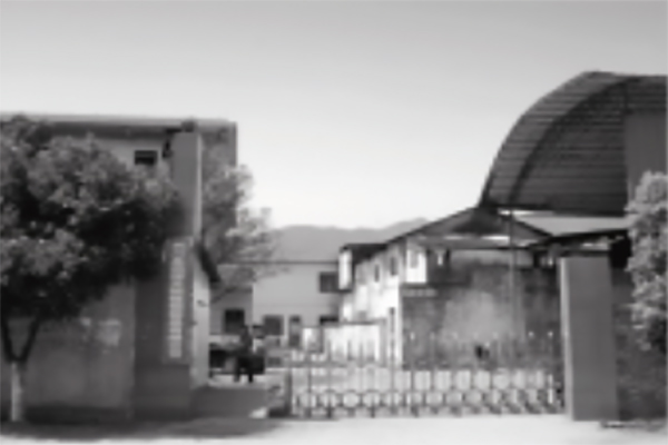 LAYN_Sito_08.22_HISTORY-1995