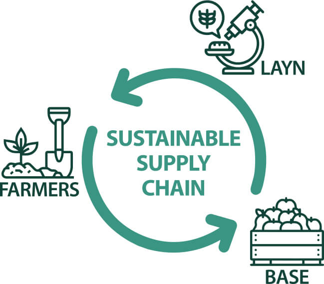 SUSTAINABLE-SUPPLY-CHAIN