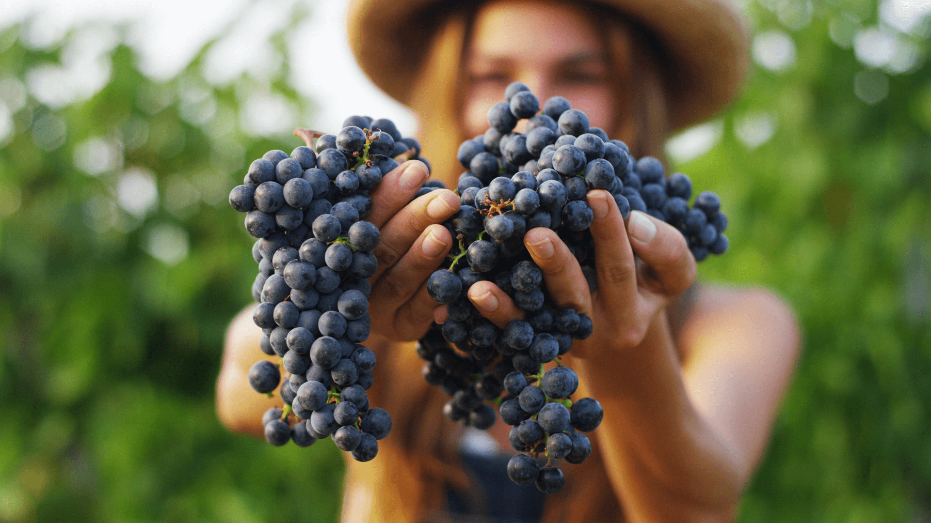 BRANDED-SOLUTION_INNOVITIS-Banner